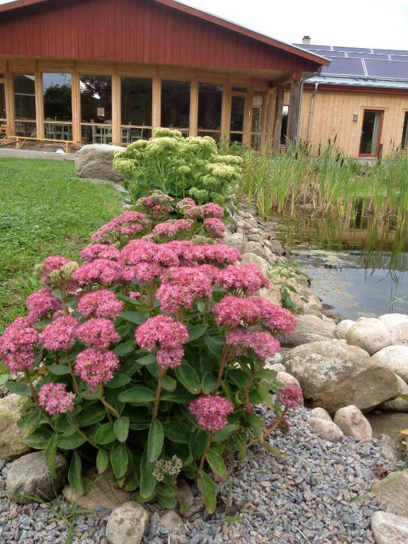 Bed and Breakfast Kontakta Liselotte Abel Vessigebro Exterior foto